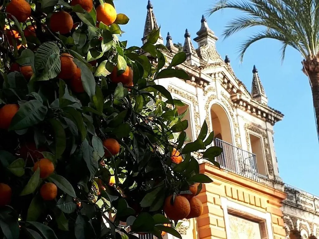 Medina Sidonia, Luxury Historic Modern Townhouse, Swimming Pool, Terraces, Sea View. Lägenhet Medina-Sidonia